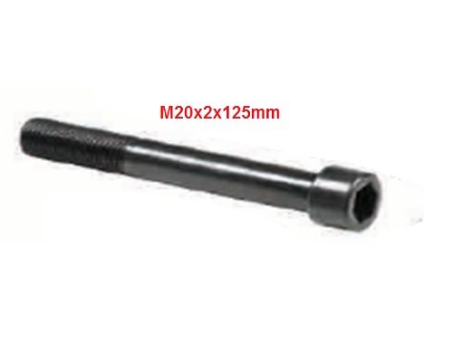 SCREW M20x2x125 mm
